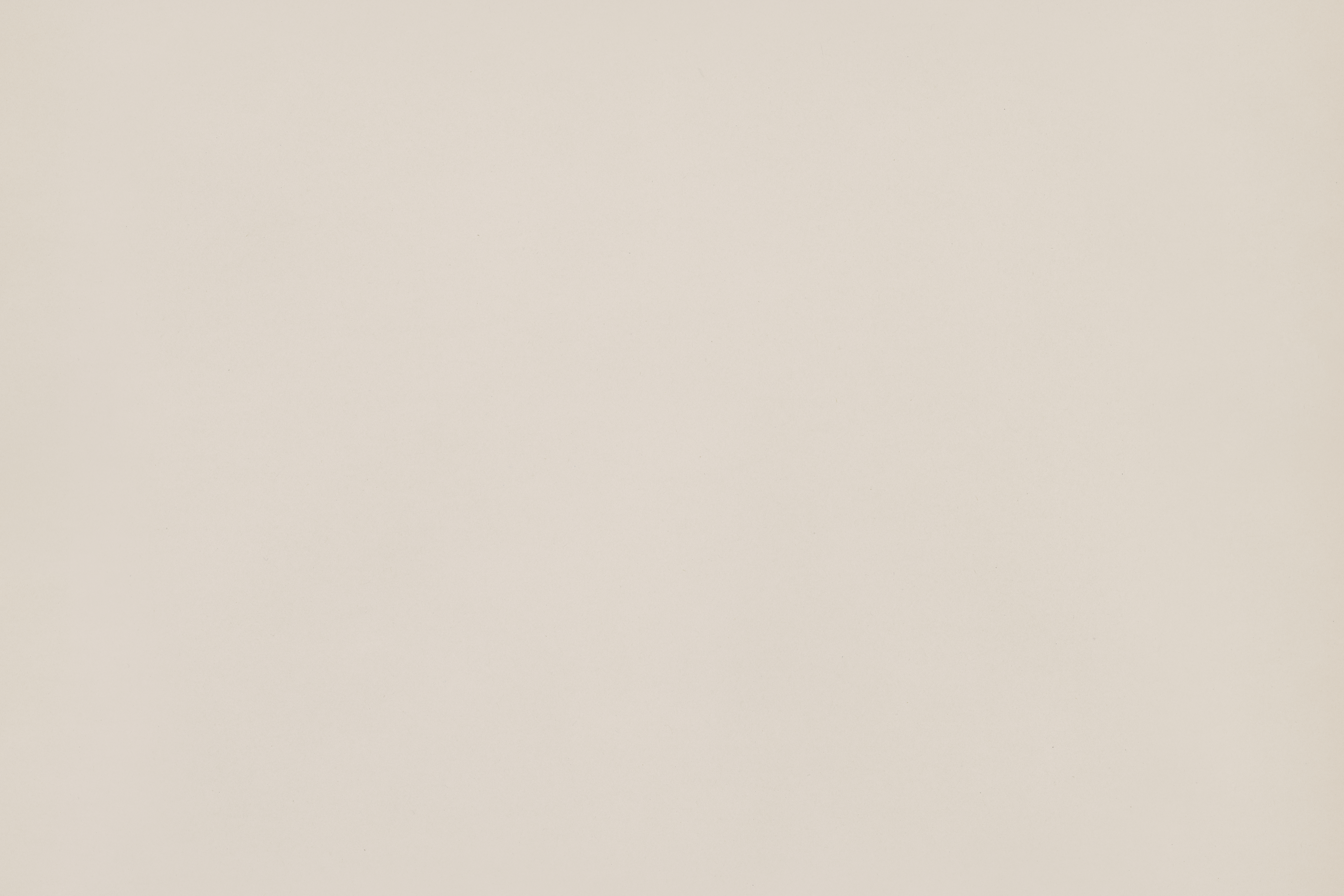 Бежевый лайт